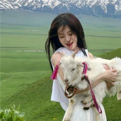 没头脑和不高兴